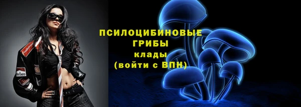 тгк Абдулино