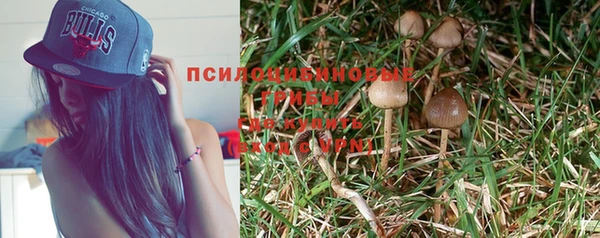 тгк Абдулино